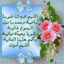 Wassan Alsarraj