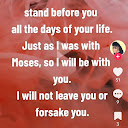 Rosemarie Phillpotts