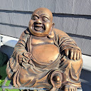 M Friedel