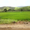Kanchan Arya