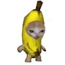 S A