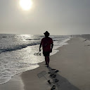 The Beachcomber