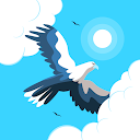Soaring Eagle