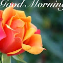 Patel R