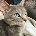 Oliver