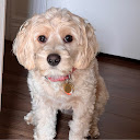 Maggie A