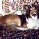 Cathryn Campbell