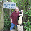 Jim Bodkin