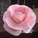Hope Blossom