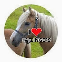 craftyhorse101