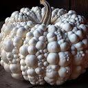 White Pumpkin
