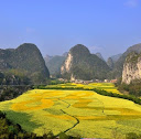 杨铭轩