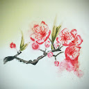 S Wang