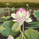 RoseP