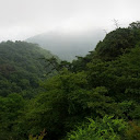 Logan Park