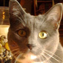 Margy M
