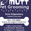 Strut Your Mutt Pet Grooming (STRUT YOUR MUTT)