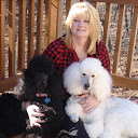 Pam Budke