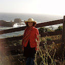 Mary Cook