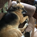 Lenny’s Mom