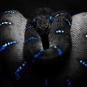 Eden W
