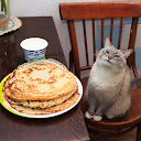 Blini Cat