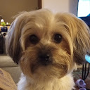Tasha
