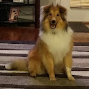 Bobbie