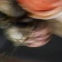 Brent Mossor