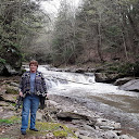 Darlene Kocich