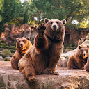 Running Bear