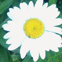 E. W.