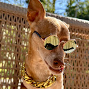 Barb S