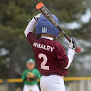 The Whaley4