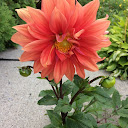 Margaret Paul