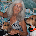 Carol Moyer