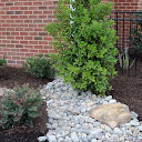 Dr. Dan's Landscaping