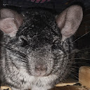 Mara