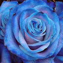 Impromptu Blue
