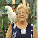 Cynthia Bivens (CB)
