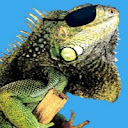 Iggy Nelix