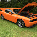 whimsical453