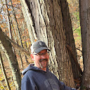 matt strauss