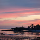 FlaSunset