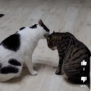 정홍기