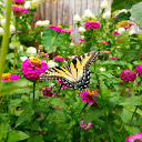 Garden4 Parker