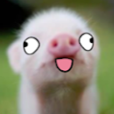 xywowpig