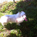 Miss Bailey