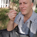 Mike Schawel