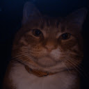 Kat Sam